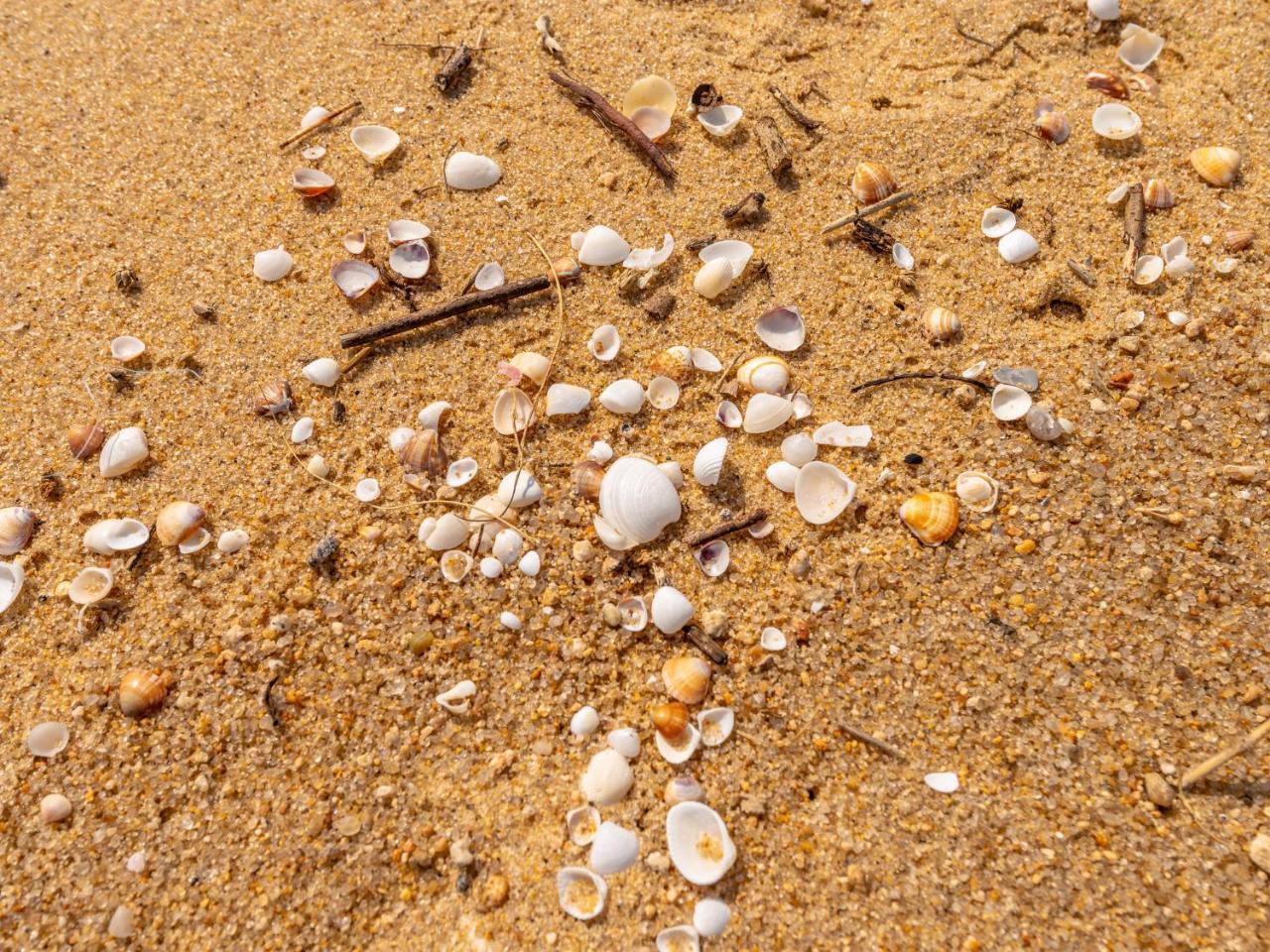 Pousada Pé Na Areia Caraguatatuba Esterno foto